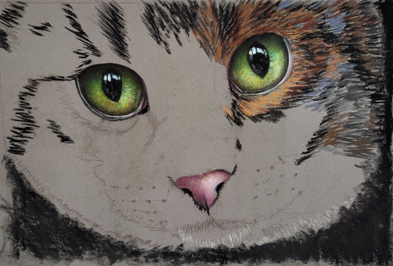 Chat tigré en pastel en cours de réalisation en pastel à FROGGY ART LYON réalisé en pastel sec par Agnès Prigent