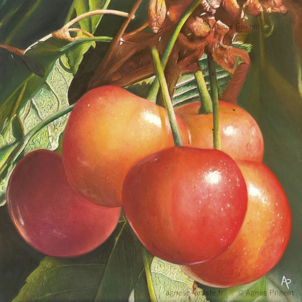 Cerises peintes aux pastels sec sur un support en bois réalisé en pastel sec par Agnès Prigent