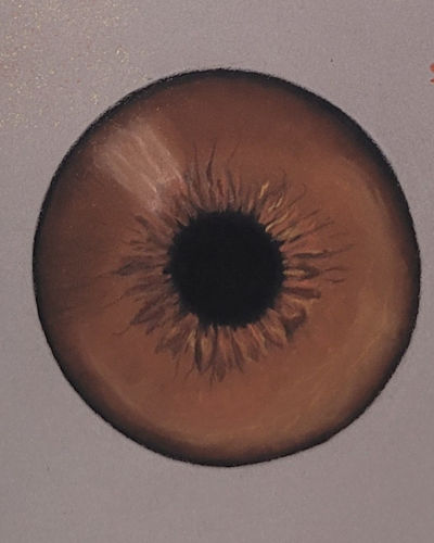 Stage "votre iris est unique, faîtes en une œuvre d'Art " sur papier Clairfontaine et crayons Faber Castell réalisé en pastel sec par une stagiaire de Agnès Prigent
