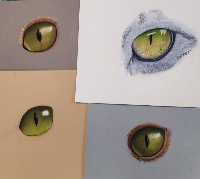 Œil de chat des élèves de Froggy Art à Lyon 6 fait en pastel sec