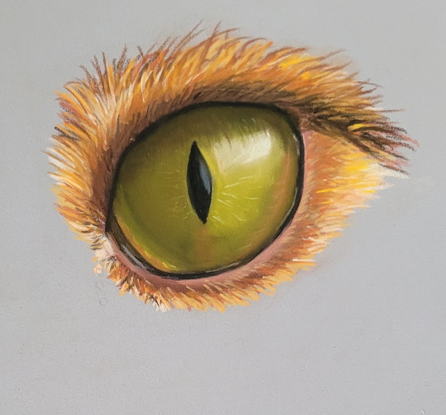 Œil de chat de Froggy Art à Lyon 6 fait en pastel sec à Froggy Art