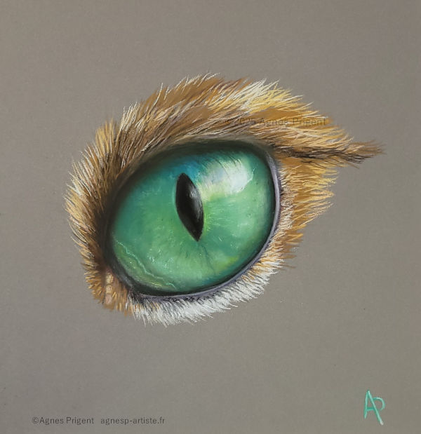 Œil de chat vert en pastel sec avec des crayons réalisé en pastel sec par Agnès Prigent
