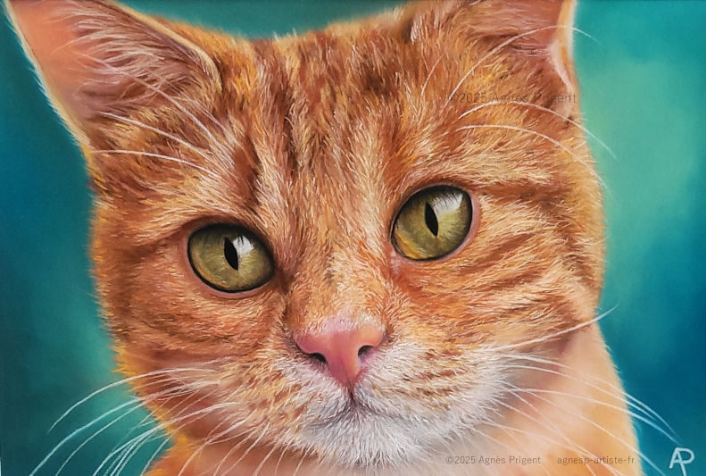 Portrait de chat roux avec des yeux verts réalisé sur papier Pastelmat avec des crayons et bâtons réalisé en pastel sec par Agnès Prigent