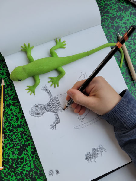 Cours de dessin enfant Agnès Prigent