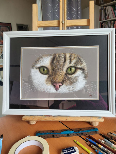 Cadre de chat Prunelle dans l'atelier d'Agnès Prigent