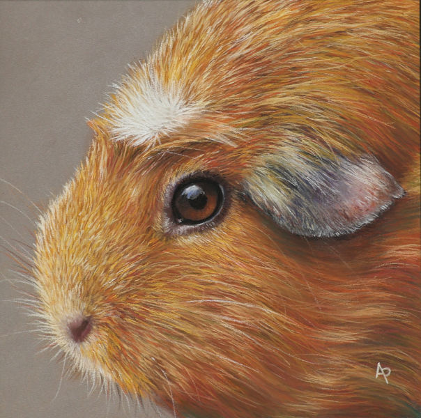 Cochon d'inderéalisé en pastel sec avec des crayons et des bâtons pastels par l'artiste peintre Agnès Prigent