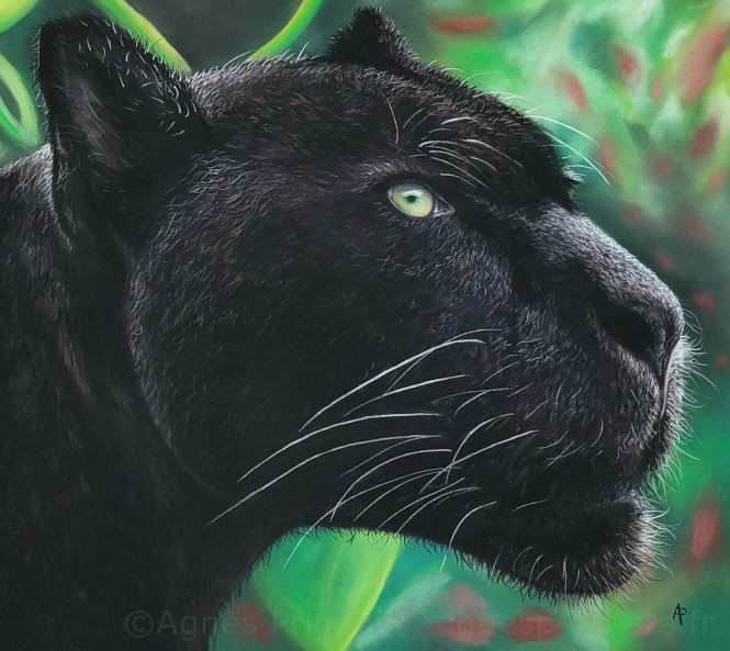 Panthère noire sur fond vert réalisé en pastel sec par l'artiste peintre Agnès Prigent