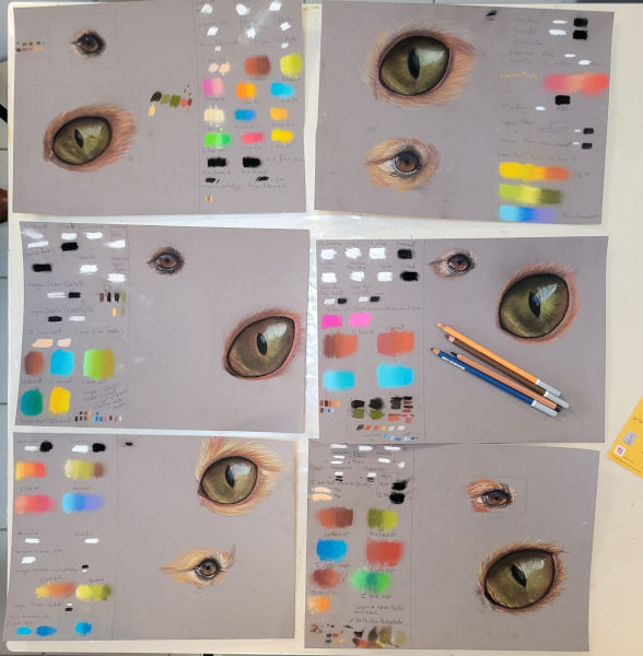 Réalisation de plusieurs yeux de chat et de chien au stage de Chaleins en pastel sec et Agnès Prigent artiste peintre